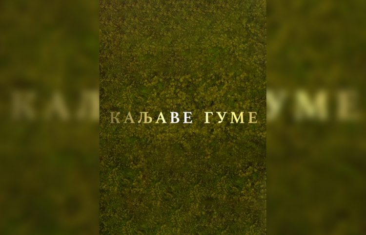 13 SERIJA U TRCI ZA ZLATNU ANTENU – “KALJAVE GUME“
